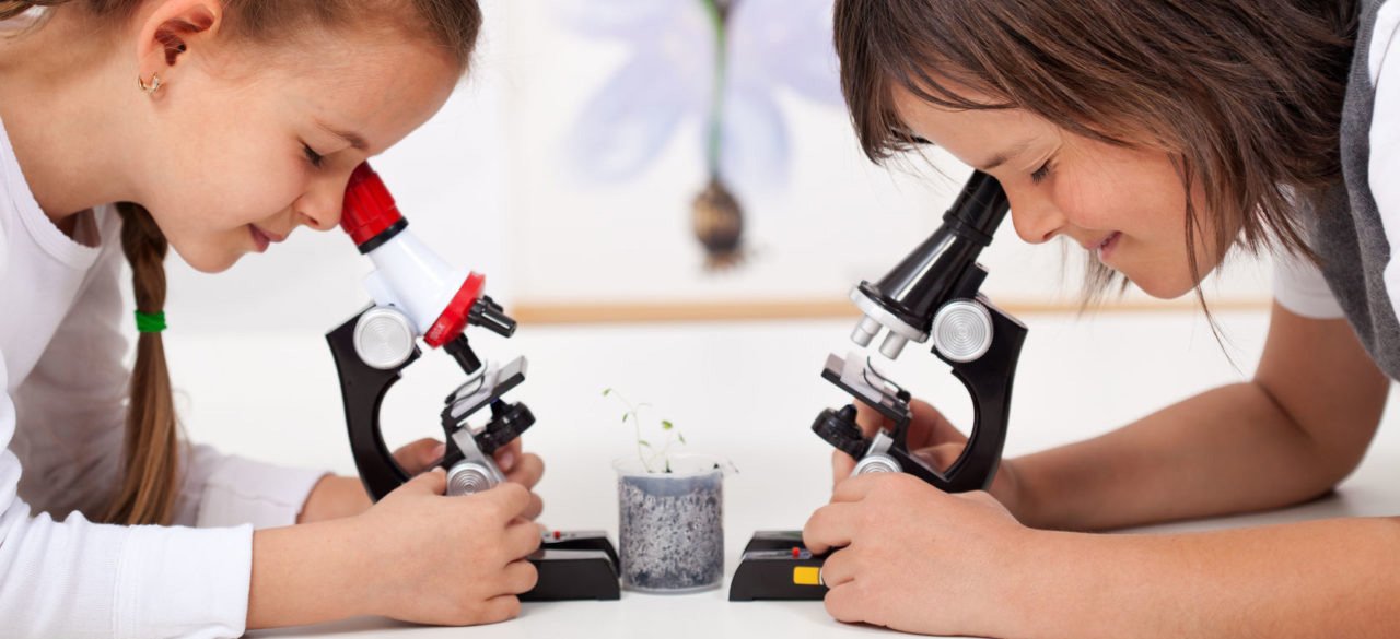микроскопы детские в Томске